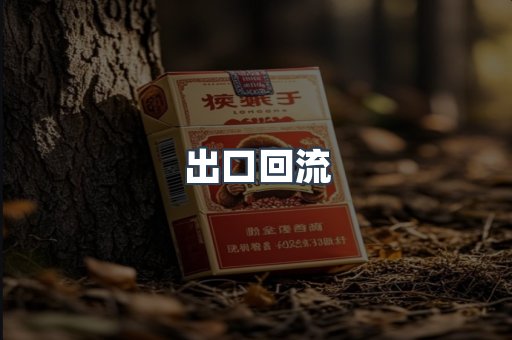 出口回流